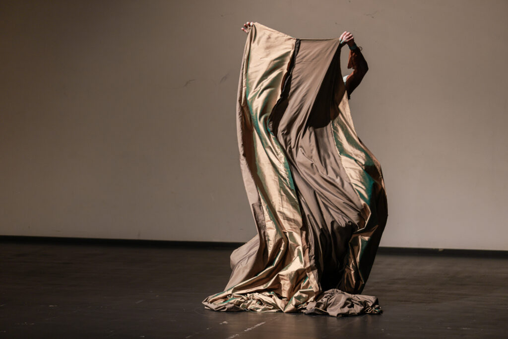 Das Bild zeigt eine Fotoaufzeichnung aus der Performance "gender is a magic trick i forgot how to perform". Rechts neben der Mitte des Bildes hält eine Person einen beige, goldenen, braunen Vorhang der durch seine geschwungenen Falten funkelt.